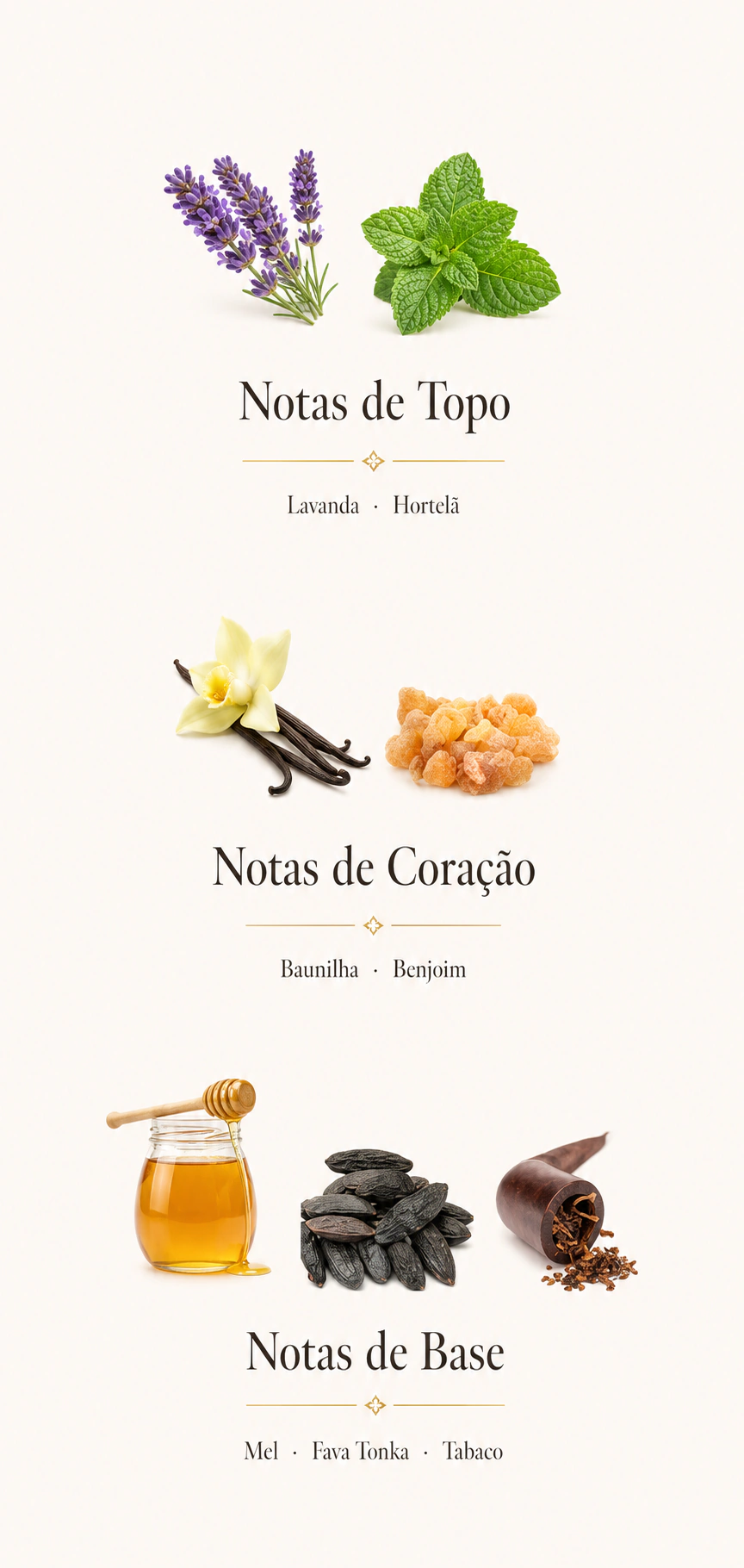 Le Male Elixir 2