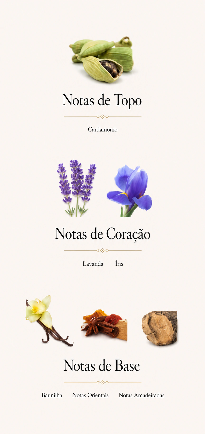 Le Male Le Parfum 3