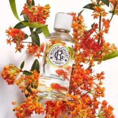 Fleur d'Osmanthus 5