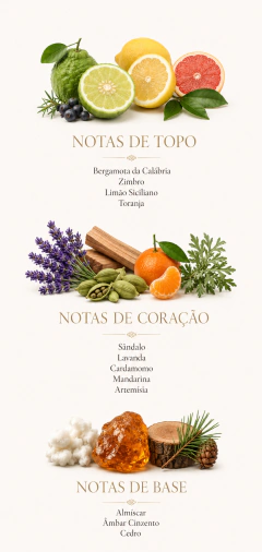 Gris 6