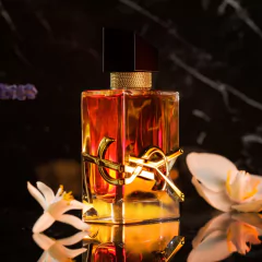 Libre Intense 6